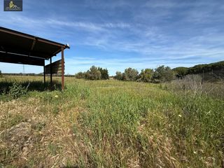 Finca rústica en El Almedral. Finca rústica en dehesa las yeguas 2500m2 con construcción regis