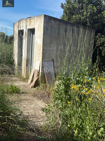 Foto 07841128-8a45-495c-ba5d-53e56cd2e78e. Finca rústica a El Almedral Puerto Real