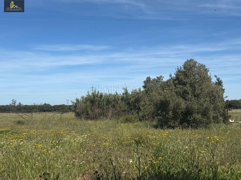 Foto 96b0f379-10ea-4606-866c-4bf5cca379e0. Finca rústica a El Almedral Puerto Real