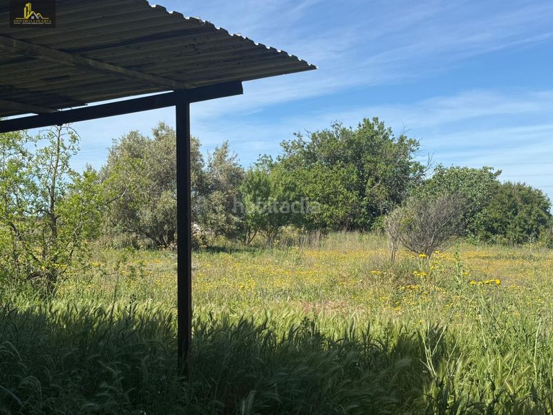 Foto f1d1cae6-03b4-482c-9eb9-3d06b2e94595. Finca rústica a El Almedral Puerto Real