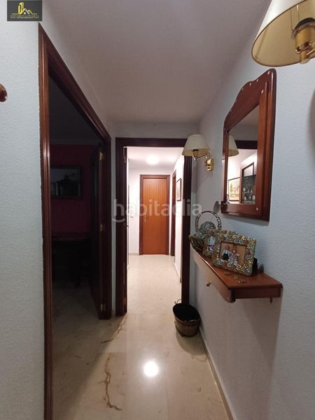 Foto 9a13b0a7-dd63-4181-8bee-04bef9102f64. Pis a Puertas del sur - Guadabajaque Jerez de la Frontera