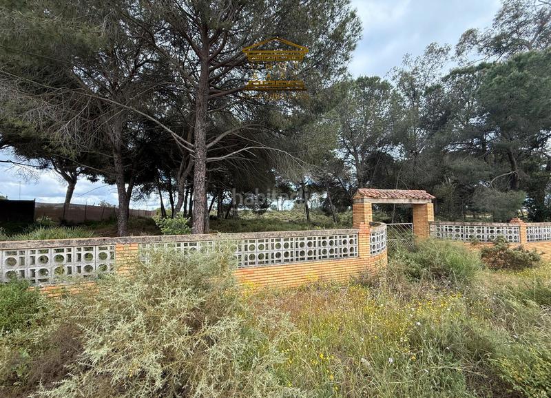 Foto 04f15db8-4374-42cd-bd68-cf0507349c4d. Finca rústica a n/a a Almonte Almonte