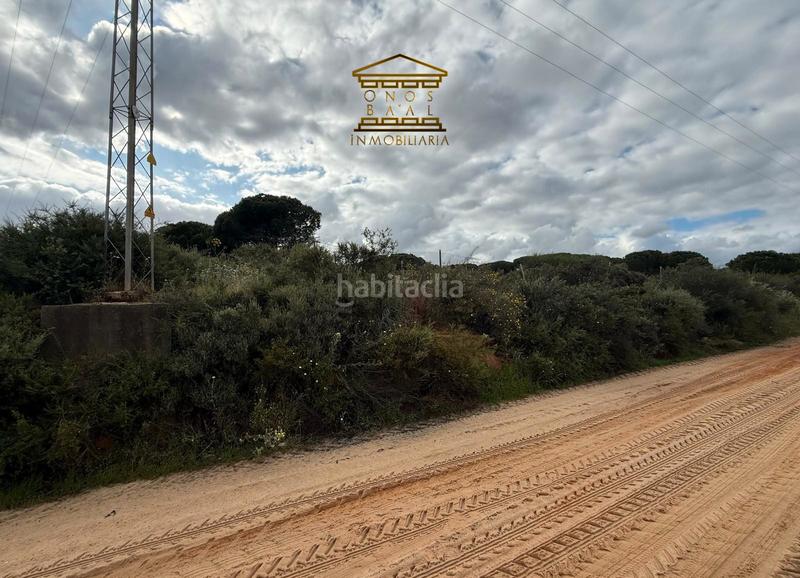 Foto 1c524263-7880-4dcf-aa7d-adabd45b829a. Finca rústica a n/a a Almonte Almonte