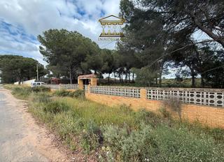 Finca rústica a N/a. Terreno en san cayetano, bonares