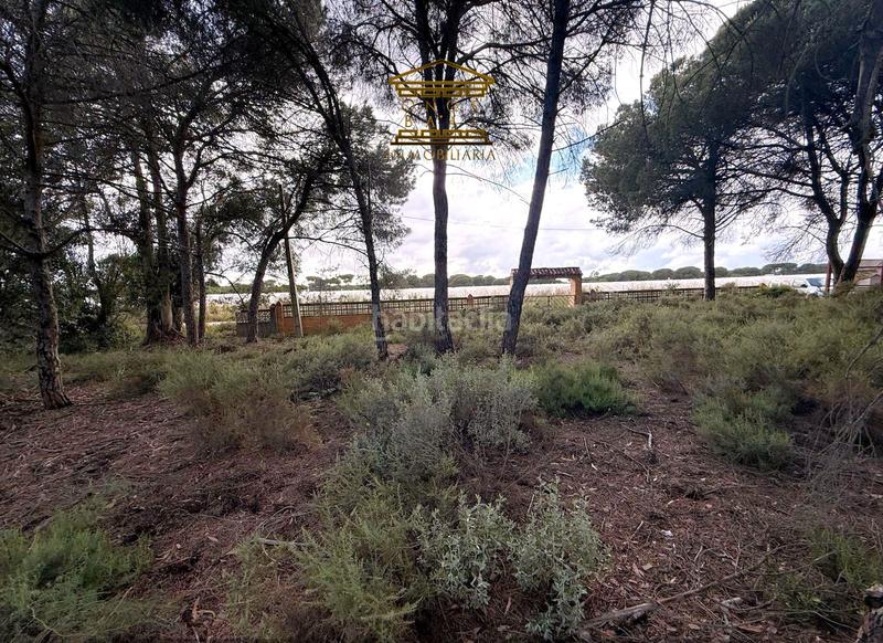 Foto a689a2be-7bb0-4e66-a579-2b9b221b3590. Finca rústica a n/a a Almonte Almonte