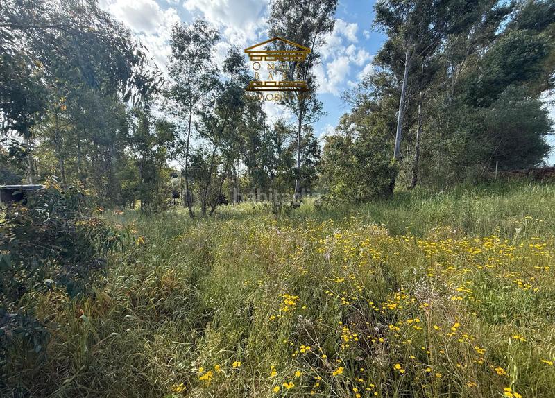 Foto d1f67ba9-ba6a-4201-91cb-04544e2c9006. Finca rústica a Beas