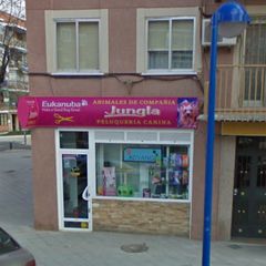Business premise  Plaza de la inmaculada. Local apto para cambio de uso a vivienda