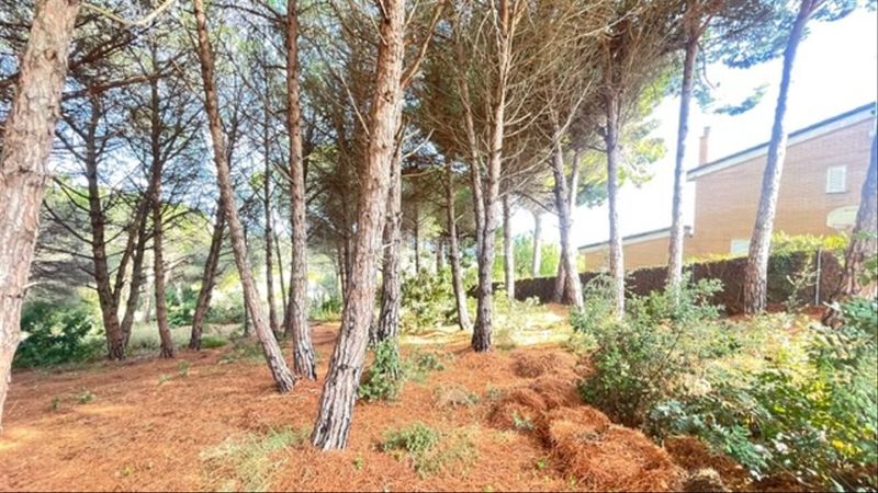 Foto 1aaae051-8caa-4a20-86b2-d92d63709c74. Terreny residencial a Urbanitzacions Sant Pol de Mar