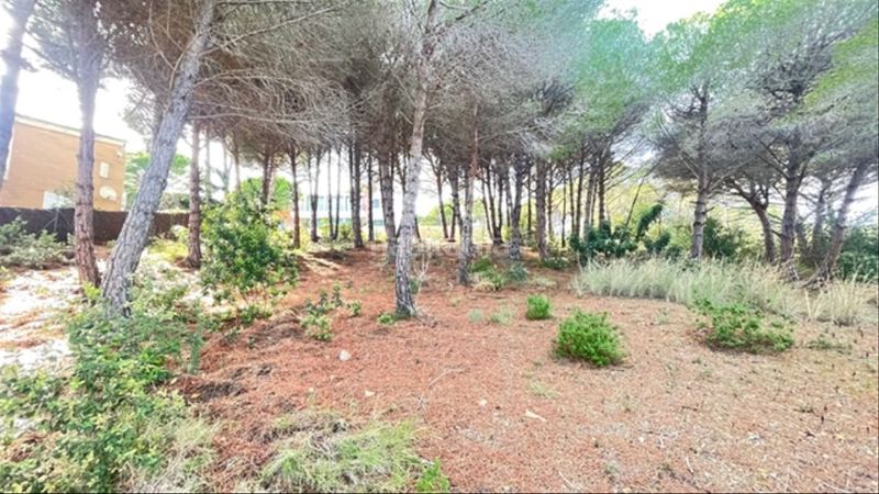 Foto 62075d07-c5e1-41f8-8505-1a6bd87c4a89. Terreny residencial a Urbanitzacions Sant Pol de Mar