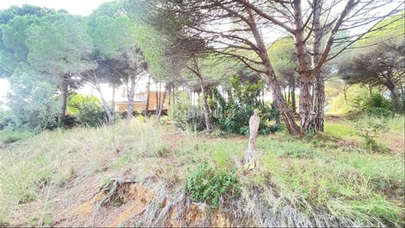 Foto 65a0adba-c511-496f-9657-af4b415a7779. Terreny residencial a Urbanitzacions Sant Pol de Mar