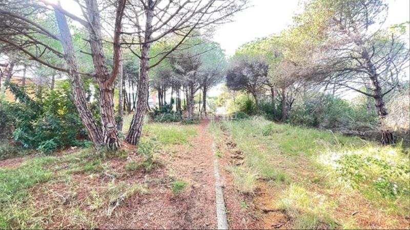 Foto ab33990b-9c80-430b-a09c-d9912352a5d1. Terreny residencial a Urbanitzacions Sant Pol de Mar