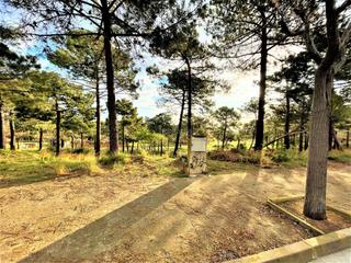 Terreno residenziale in Urbanitzacions