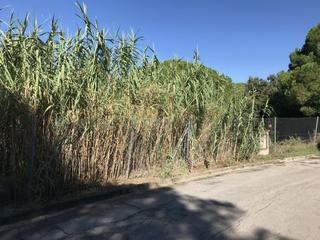 Wohngrundstück in Urbanitzacions
