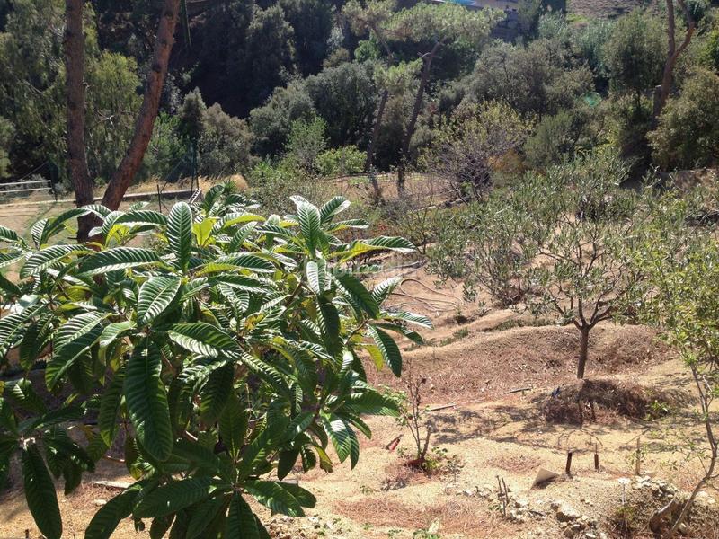 Foto 8f39c726-3a1a-4af3-998b-2a06ce987ce0. Terreny residencial a Sant Cebrià de Vallalta