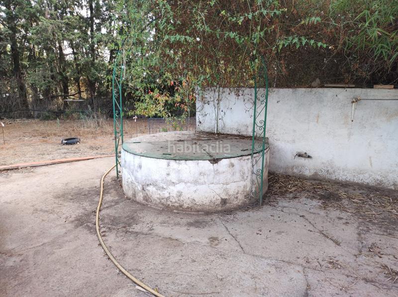 Foto cfa93d8a-7ed9-4d66-b723-5f401b84c30d. Casa finca con chalet independiente cerca de mairena del aljarafe. en Bollullos de la Mitación