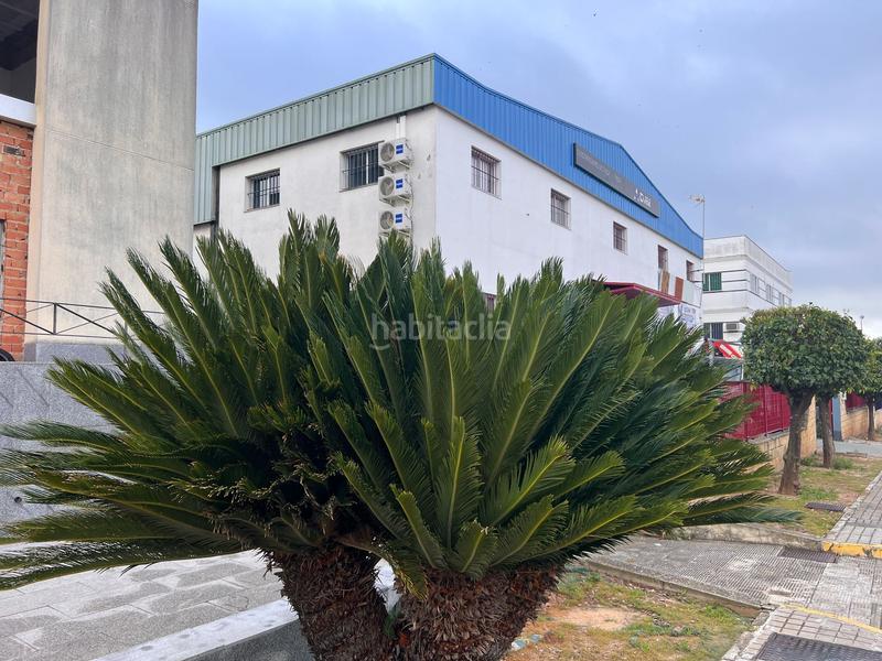 Foto ec3d9487-055a-413e-9e76-0c581df194fc. Local comercial en comercio 8 edificio para comercio u oficinas en Mairena del Aljarafe