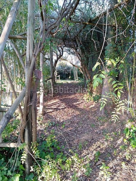 Foto ab3290cc-b1a8-4272-a198-091614fa5f02. Casa a sanlucar 3 a Sanlúcar la Mayor