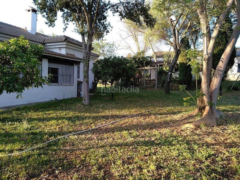 Foto ac59793a-1479-40a1-8936-3d7dab78932c. Casa a sanlucar 3 a Sanlúcar la Mayor