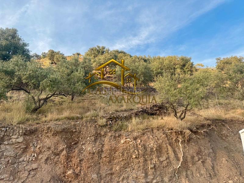 Foto 416a6940-baea-4c15-a960-a9b967579793. Masía en Canillas de Aceituno