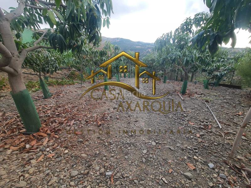 Foto 3f704656-82b1-429e-bd23-b5beecf3072a. Bauernhof mit pool in Norte - Barrio del Pilar - El Reñidero Vélez - Málaga