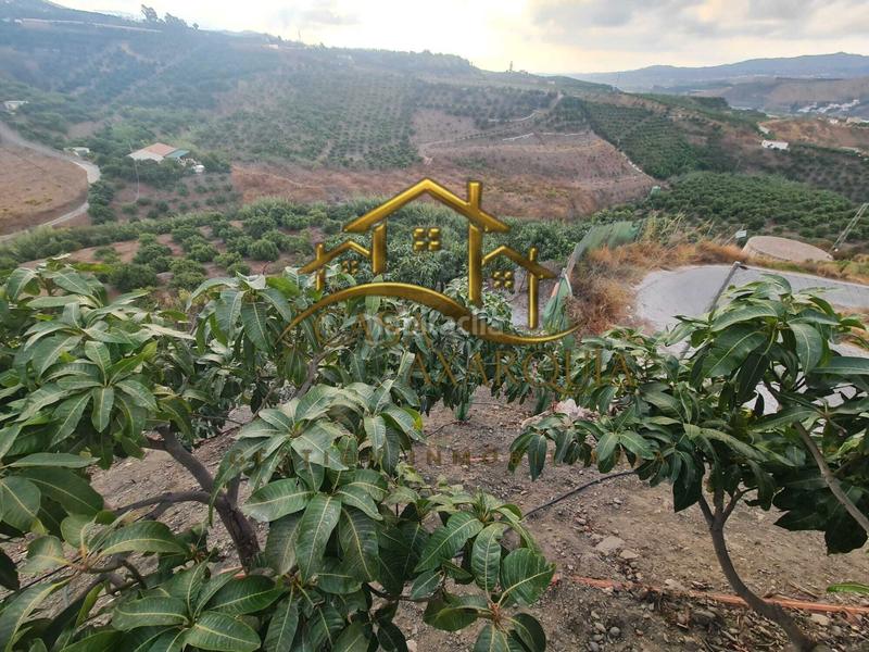 Foto 4f325db6-ee94-4a5c-a4a9-6023ecbc9e60. Bauernhof mit pool in Norte - Barrio del Pilar - El Reñidero Vélez - Málaga