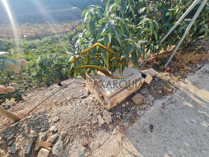 Foto 6752cdd3-cdee-4636-a527-b9f76384b286. Bauernhof mit pool in Norte - Barrio del Pilar - El Reñidero Vélez - Málaga