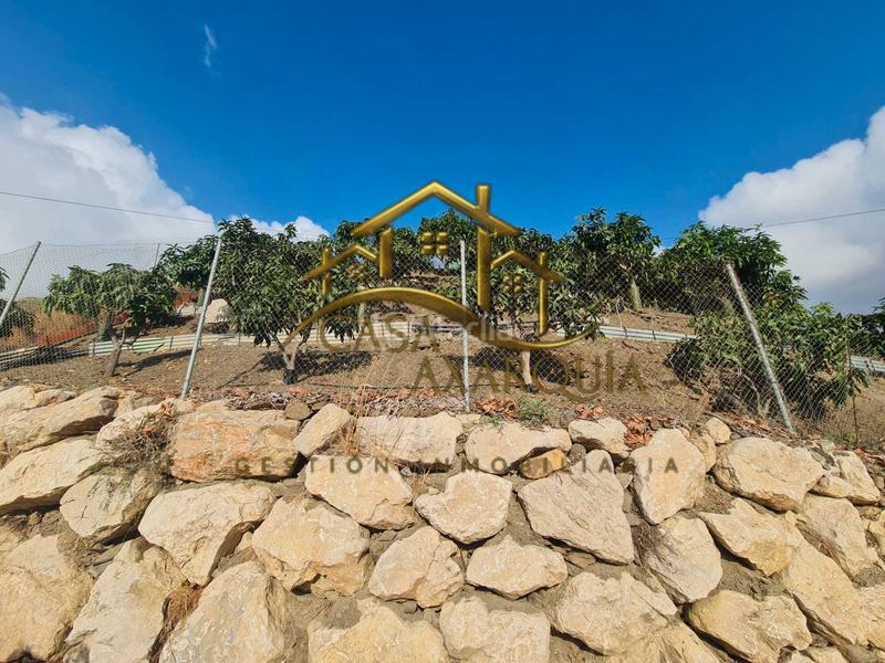 Foto c3972c35-ec30-4fe3-a3fb-d65ec9aa4a7f. Bauernhof mit pool in Norte - Barrio del Pilar - El Reñidero Vélez - Málaga