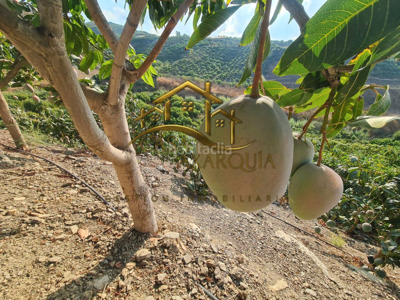 Foto 4464c961-d536-4dad-b358-58f350890fd3. Country house with pool in Norte - Barrio del Pilar - El Reñidero Vélez - Málaga