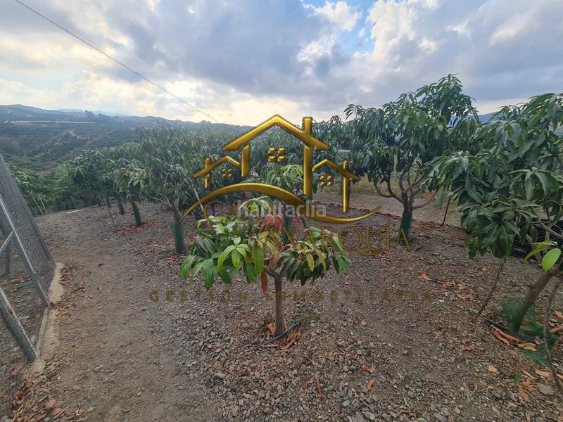 Foto cc8e2b63-ca85-405b-8a3d-225b8c651765. Country house with pool in Norte - Barrio del Pilar - El Reñidero Vélez - Málaga