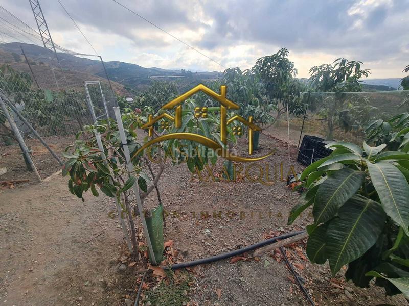 Foto 38f44b6c-6feb-4076-8478-e289f93416fc. Mas avec piscine dans Norte - Barrio del Pilar - El Reñidero Vélez - Málaga