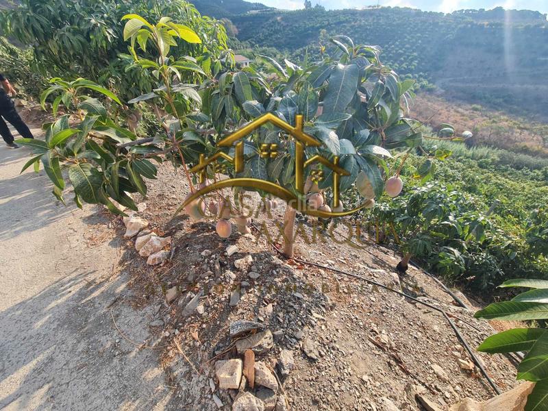 Foto a2880dac-26d3-4226-a909-b10b81d12957. Mas avec piscine dans Norte - Barrio del Pilar - El Reñidero Vélez - Málaga