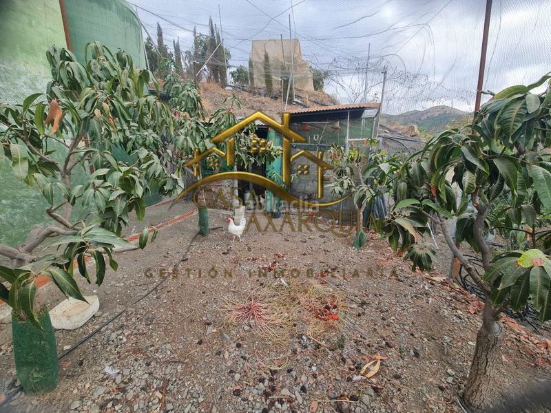 Foto dac155dc-a2d4-4765-be06-26275d78f42c. Mas avec piscine dans Norte - Barrio del Pilar - El Reñidero Vélez - Málaga