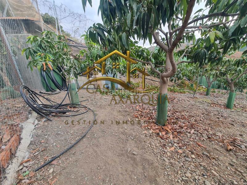 Foto fe8d7118-4f87-44d4-ba56-02359bf8d0ab. Mas avec piscine dans Norte - Barrio del Pilar - El Reñidero Vélez - Málaga