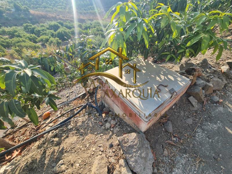 Foto 554fec48-2f2c-43fb-84c4-f2955e02f720. Masía en Norte - Barrio del Pilar - El Reñidero Vélez - Málaga