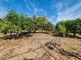 Rural plot  Camino de los colmenares