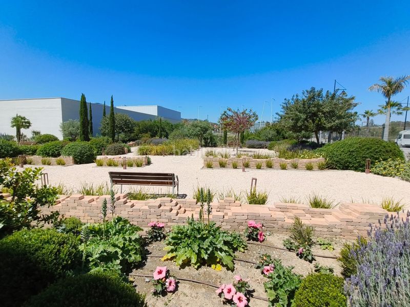 Foto 4f8b0a4b-ba98-44d9-837d-2da906ebafef. Àtic amb piscina a Los Álamos Torremolinos