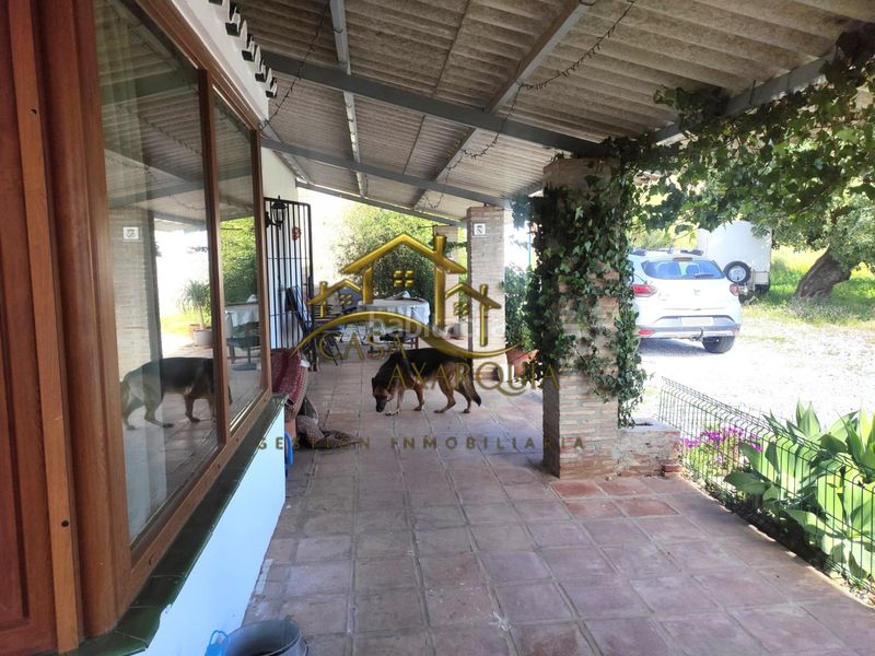 Foto f82ea6ef-2757-4bfc-9e2a-2800de0663f6. Masía en Camino Viejo de Málaga Vélez - Málaga