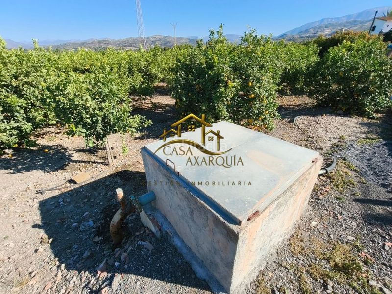 Foto 577818b2-8f57-45f7-996e-4f94e7487ee4. Finca rústica a Camino Algarrobo - Las Arenas Vélez - Málaga