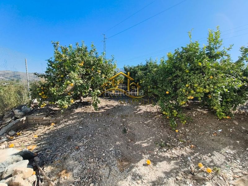 Foto a1237267-1e68-46fa-b27e-42ae81e94d6d. Finca rústica a Camino Algarrobo - Las Arenas Vélez - Málaga