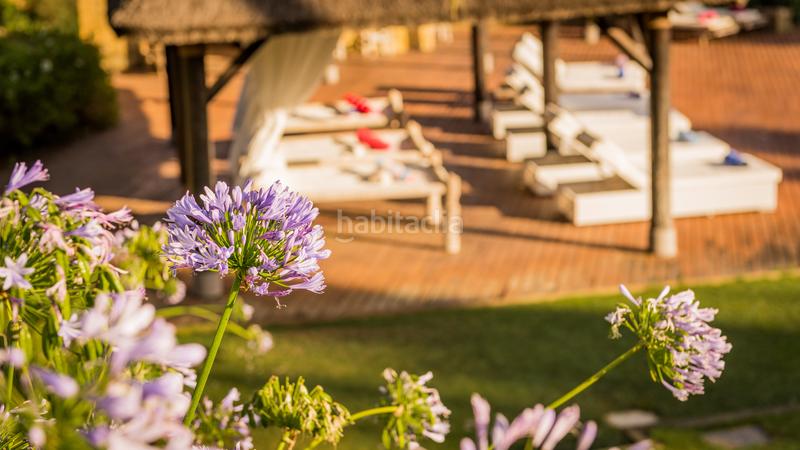 Foto 4a3b334c-0289-4c0a-9411-51db9ad8e222. Rent chalet with fireplace heating parking pool in Sotogrande