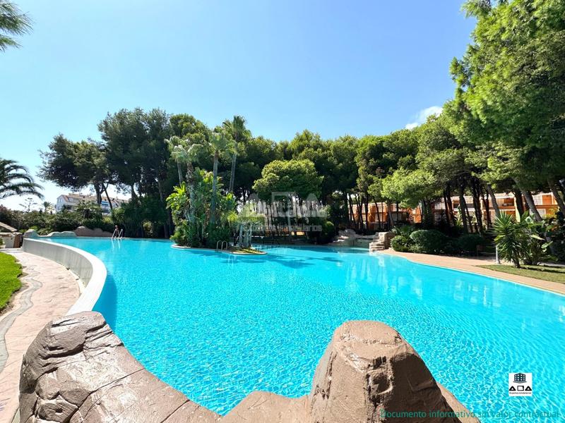 Foto c24c5a91-3a2f-4e03-ae91-20a45aa601a1. Casa a schiera con riscaldamento parcheggio piscina in Alcossebre