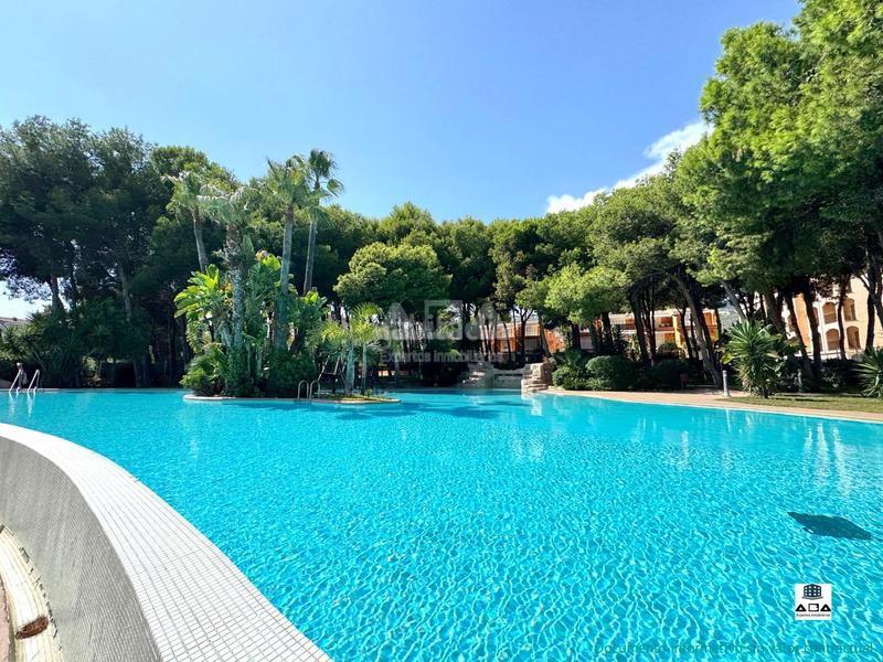 Foto dd89076a-0409-4d71-ae49-9a6334a906e3. Casa a schiera con riscaldamento parcheggio piscina in Alcossebre