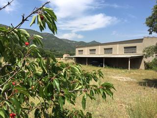 Masia a C-240z 33. Vilaverd,gran finca rústica con casa, piscina y gran nave