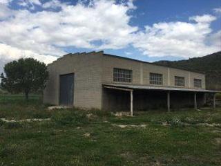 Nau industrial a C-240z 49. La riba,nave industrial aislada,parcela de 7.000 m2,pozo,viviend
