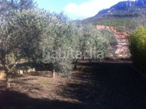 Foto 1bce32e5-e9dc-4e99-97b7-2a71cda0f990. Capannone industriale in c-240z 49 in Riba (La)