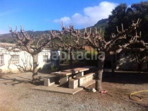 Foto 1de8fa92-17c7-4c24-ab87-788ed6689699. Capannone industriale in c-240z 49 in Riba (La)