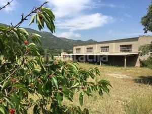 Foto 92da7bed-f64f-4dd0-8acf-336dfae5cb59. Capannone industriale in c-240z 49 in Riba (La)