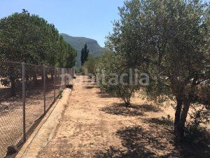 Foto 93be5a13-c786-42f9-8339-fe8c5ceb8602. Capannone industriale in c-240z 49 in Riba (La)