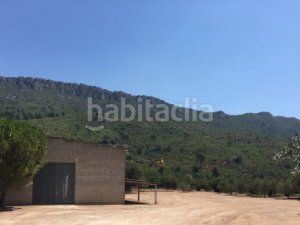 Foto c12747e3-e52a-477f-95a9-e15305571e18. Capannone industriale in c-240z 49 in Riba (La)