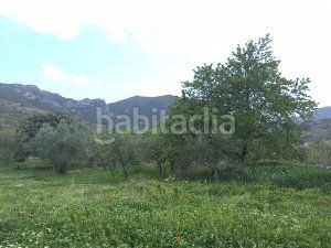 Foto de5e7c1a-d9ab-44f3-aec5-cb3ea26b0983. Capannone industriale in c-240z 49 in Riba (La)